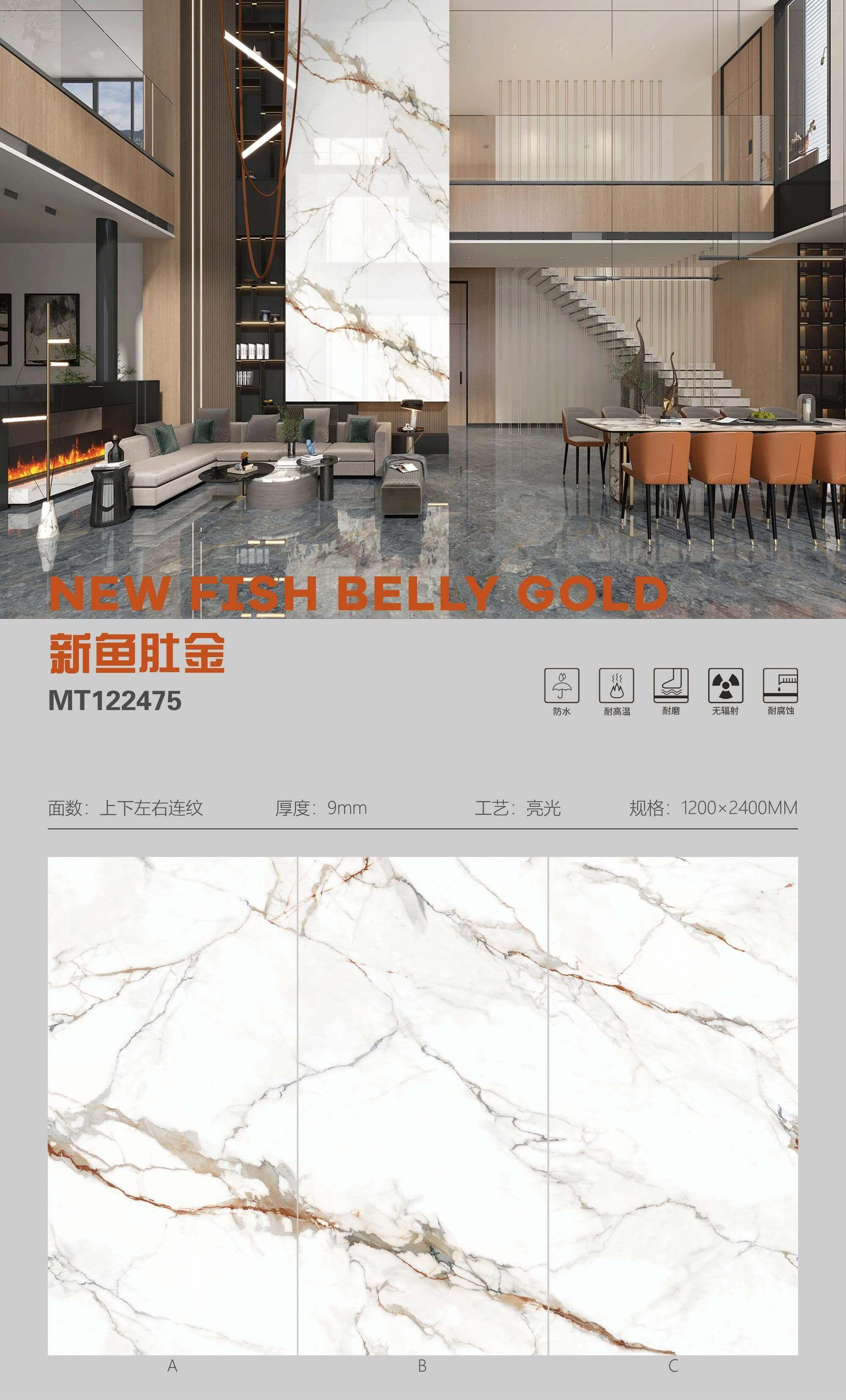 新鱼肚金 122409亮