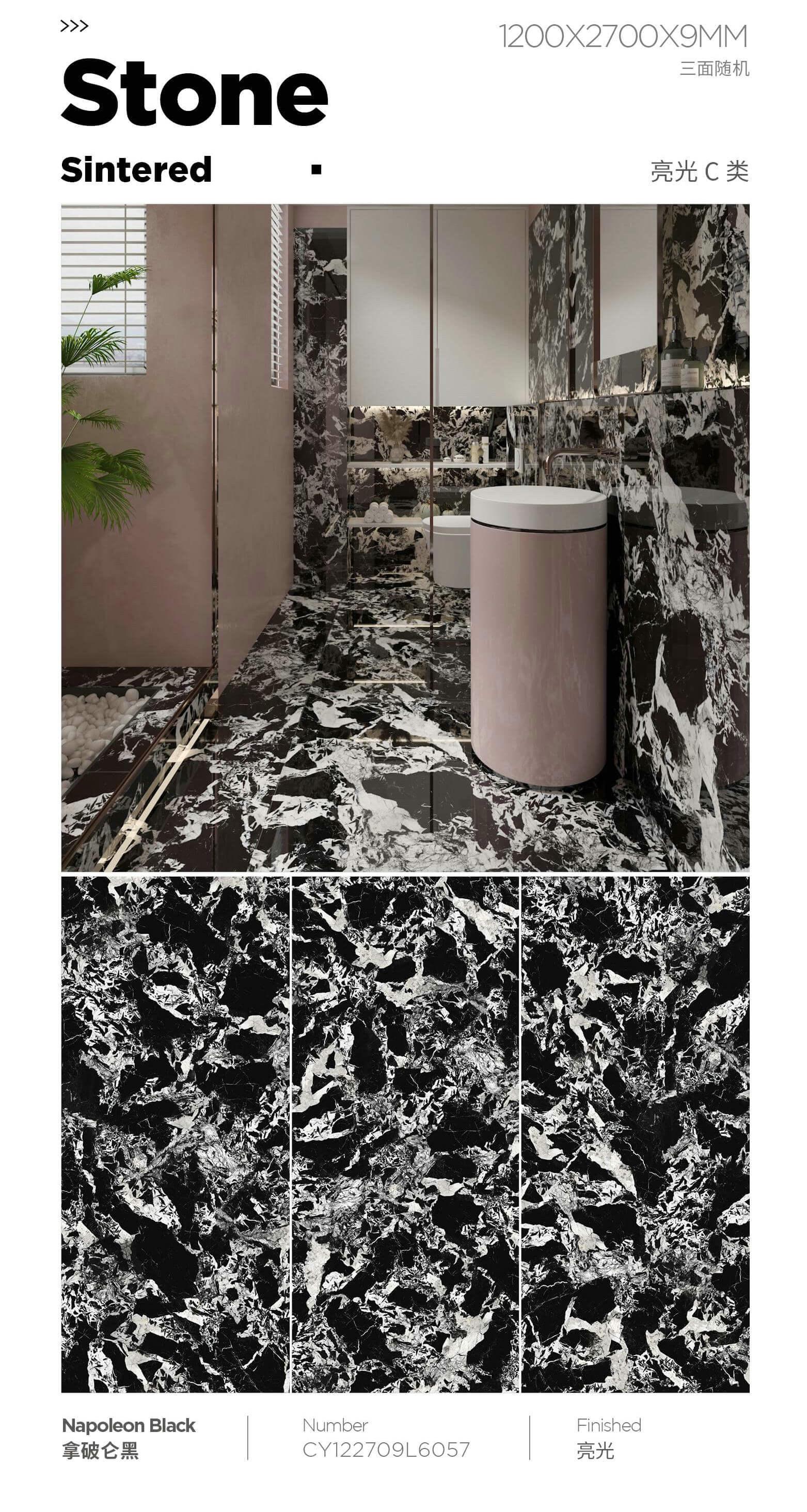 拿破仑黑 122709亮