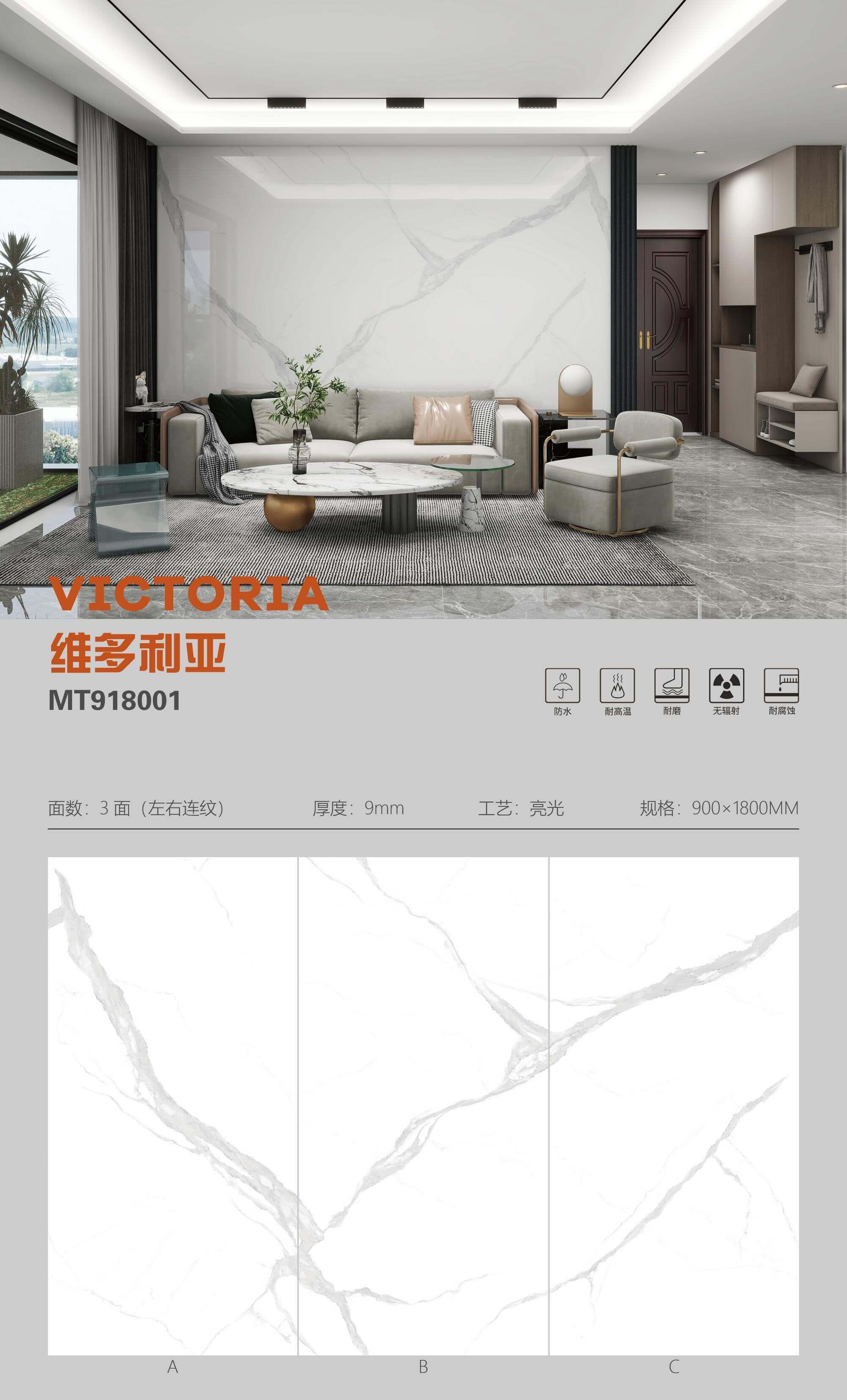 维多利亚 MT918001